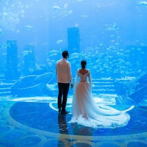 Wedding photography workshop in Dubai (UAE) - Atlantis The Palm
